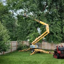 Lawn Grading and Leveling in Pocola, OK