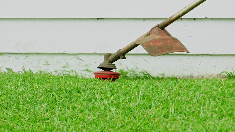 Best Lawn Drainage Solutions  in Pocola, OK